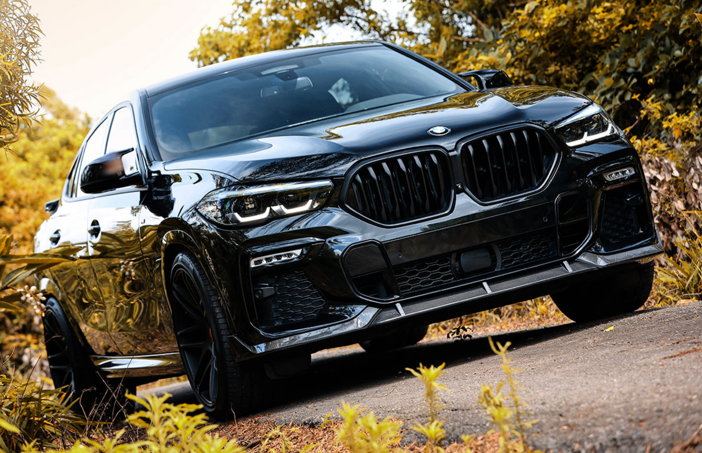 BMW Front Grilles - G06 X6