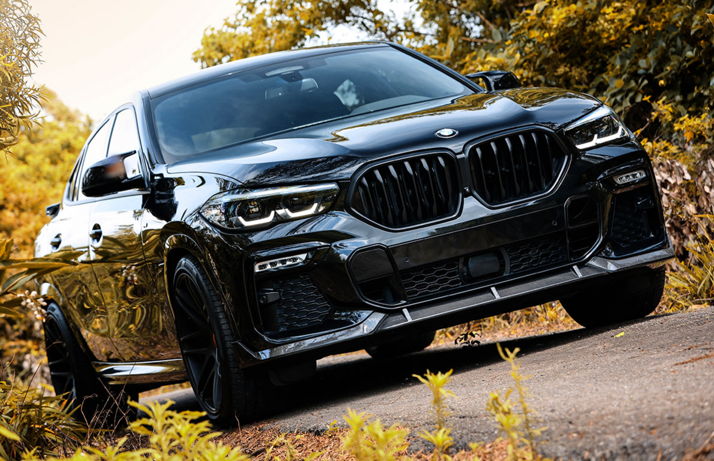 BMW G06 X6 M Sport Carbon Fiber Front Lip